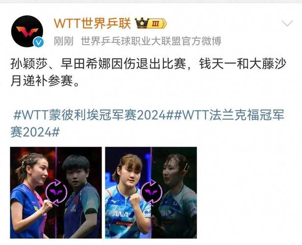 新澳天天彩2025芳草地和乒联回应选举乌龙与乒联wtt