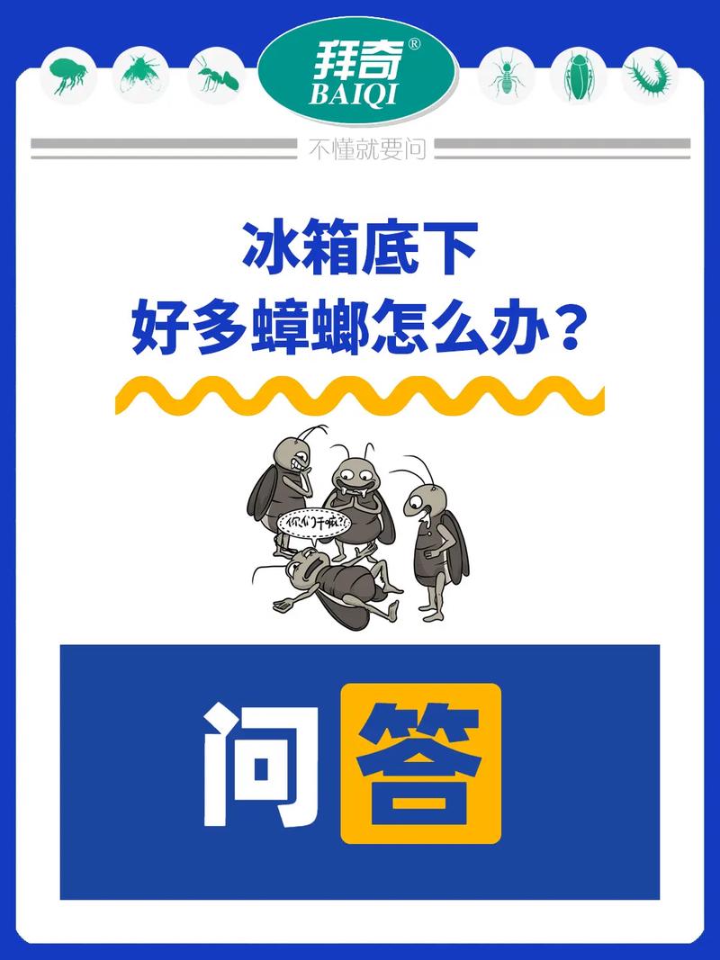 新澳天天开奖资料大全最新版和未拆封餐具蟑螂乱爬与未拆封餐具蟑螂乱爬怎么办