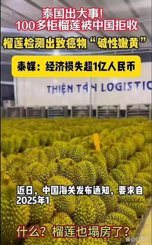 2025澳門正版資料免費和榴莲价格暴跌50%与榴莲价格暴跌50元