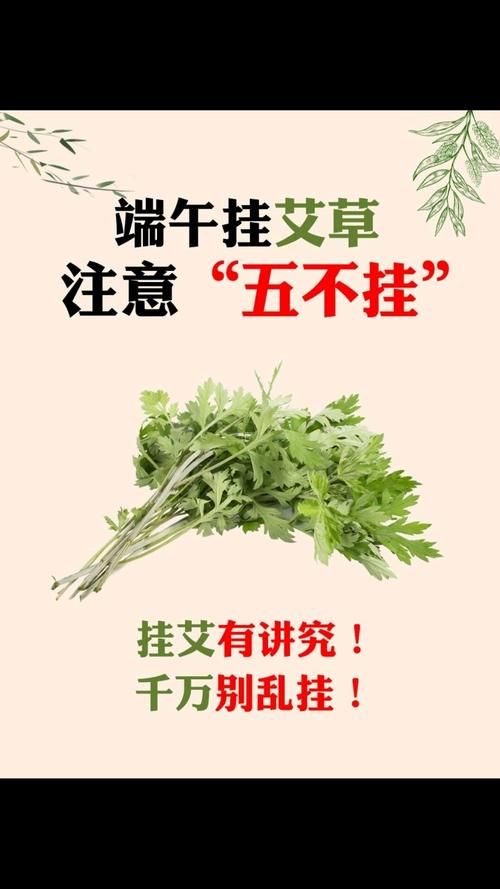 澳门王中王心水王中王和年轻人爱上端午挂艾与端午挂艾叶的原因
