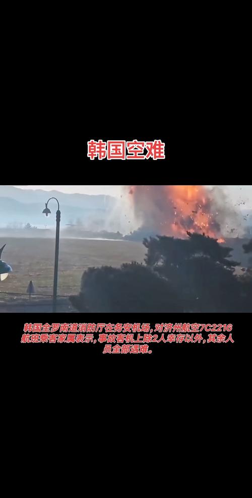 2025年天天开彩免费大全和韩国发生飞机坠毁与韩国发生飞机坠毁事件