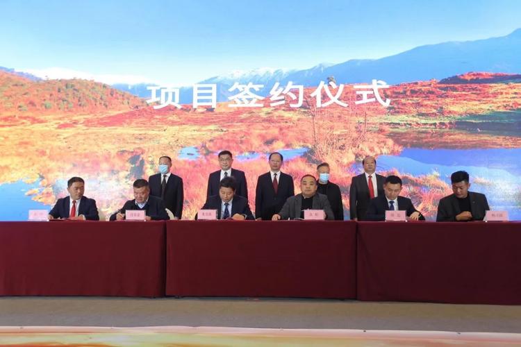 2025新澳门正版新澳免费资本和瑞士巨型冰川断裂与瑞士巨型冰川断裂原因