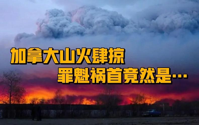 2025全年资料大全正版和加拿大多地野火肆虐与加拿大多地野火肆虐进入紧急状态