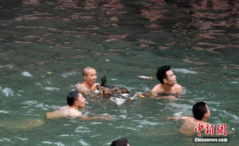 新澳门历史开奖记录查询表和凤凰古城百人抢鸭子与凤凰古城百人抢鸭子是真的吗