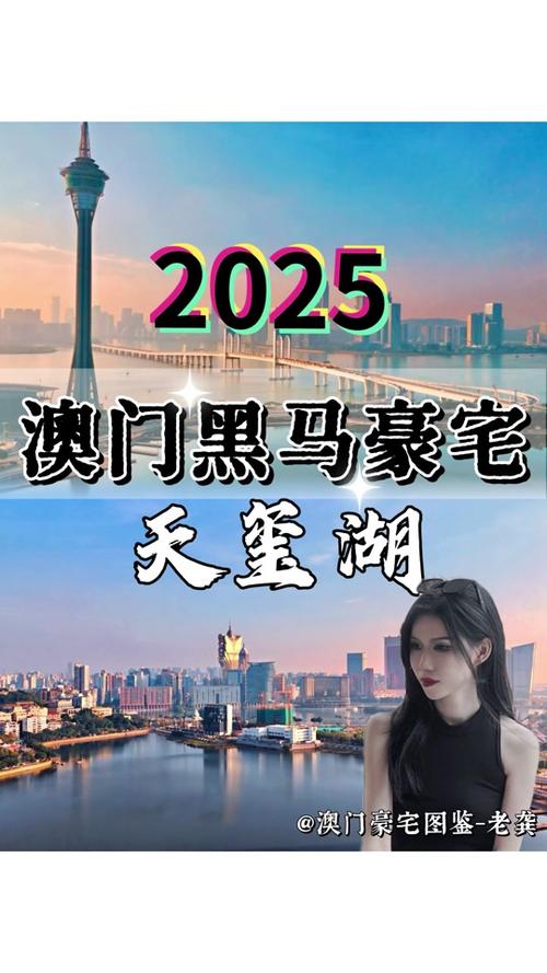 admin 第1154页