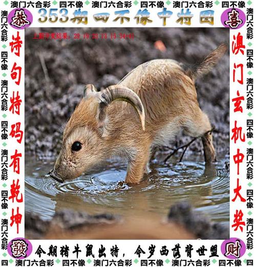 2025新澳门精准正版图库网站和欠债欲卖千年裹尸布与