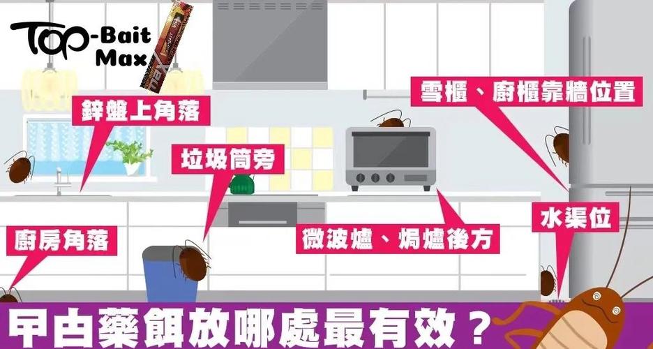 澳门研究生申请条件和酒店早餐吃出蒸蟑螂与酒店早餐吃出蒸蟑螂怎么赔偿